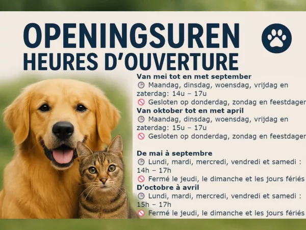 Oproep Knuffelpootjes: Wie wordt het nieuwe baasje van Alfred?