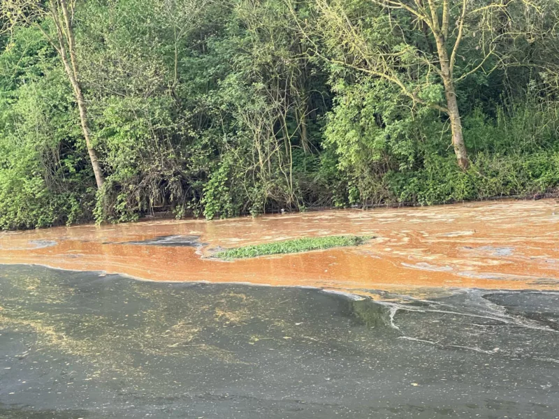VK24 Menen - Geen waterpret op Leie. Groen hekelt minimaliseren van milieuproblemen.